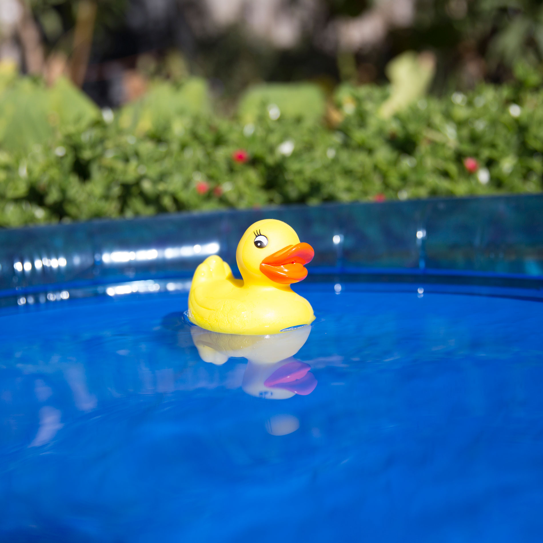 Bath Duckie – Fully Sealed – Playgro International