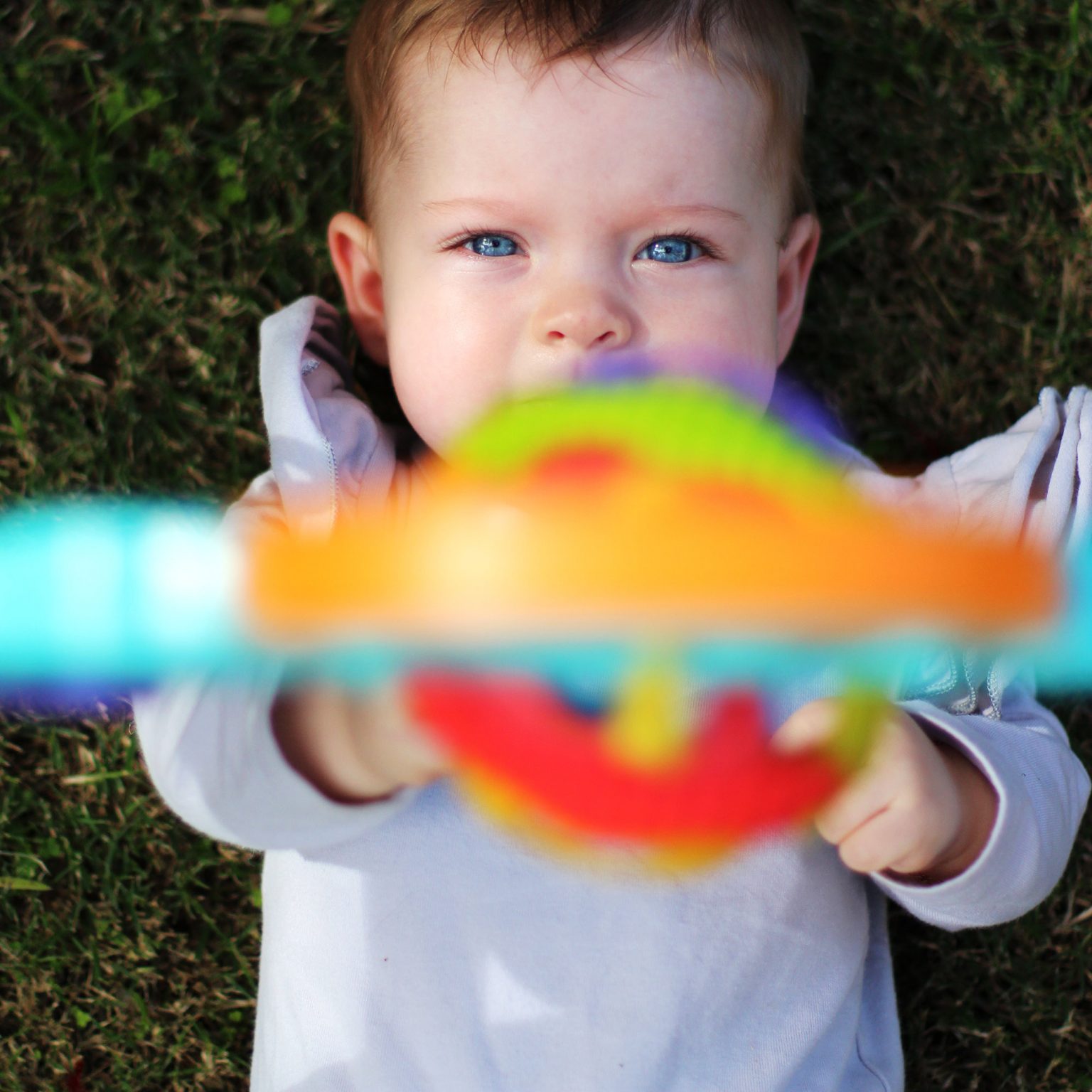 Fold & Go Playgym Playgro International