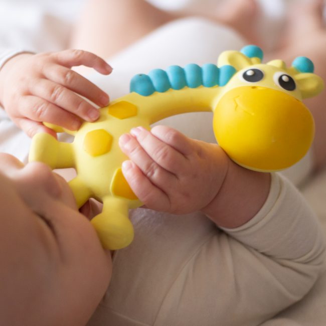 0186970 Squeak and Soothe Natural Teether